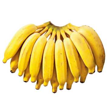 Banana Prata